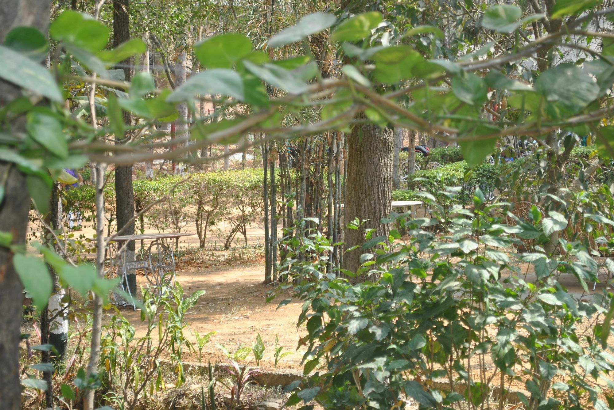 Eagle Ridge Resort Bangalore Dış mekan fotoğraf